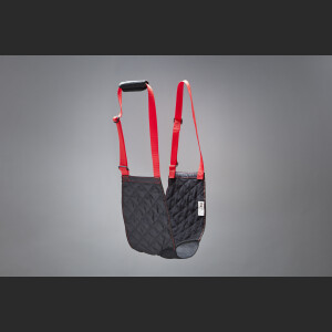 mobility sling