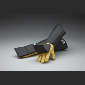 rabies gloves 2 sizes
