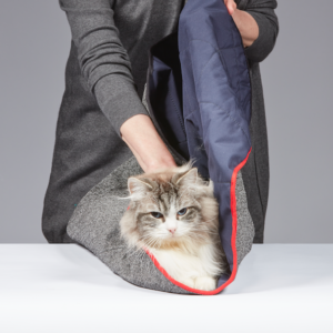 Cat Wrap