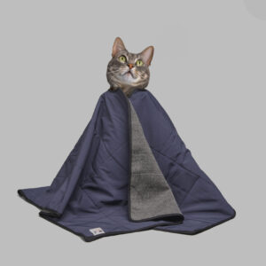Cat Cape
