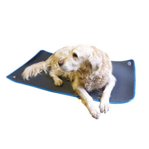 CosyPad