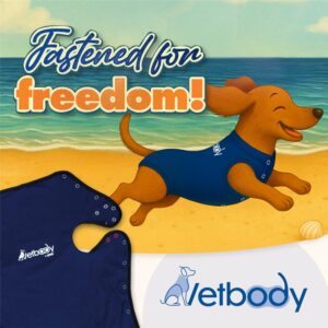 VETBODY (New!)
