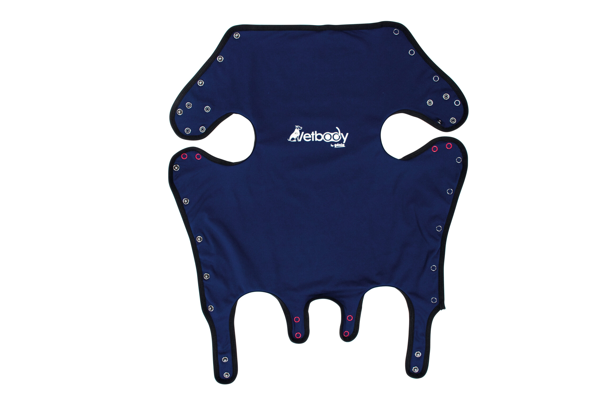 VETBODY (New!) - Image 2